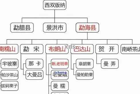 普洱茶种类详解：从经典到现代，一次了解所有普洱茶的分类和特点