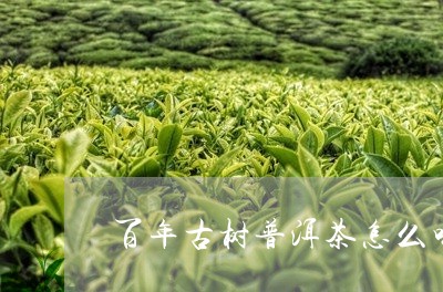 万年普洱茶啥样的好喝