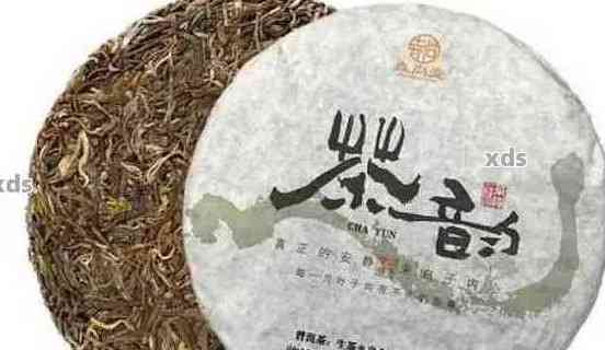 塑料盒存普洱茶：可行性与安全性分析