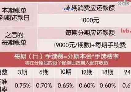 中国银行信用卡逾期还款策略与解决办法