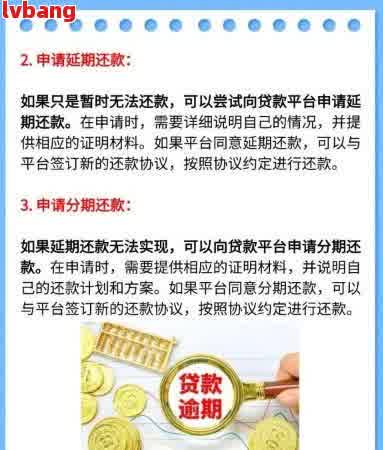 网贷无法借款且无法按月正常还款的后果及解决方法全面解析