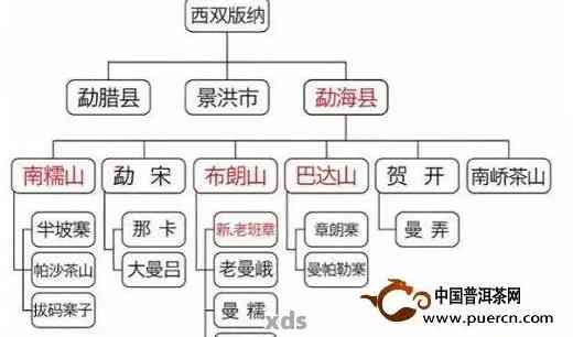 探究不同山头普洱茶的香气区别及各大山头品种特色