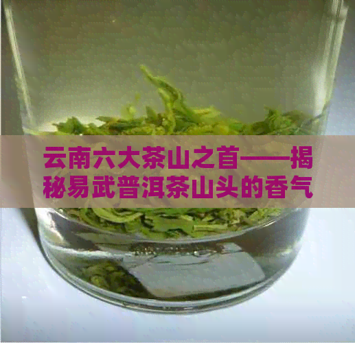 不同山头普洱茶的香气