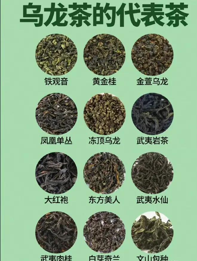 古朴独特普洱茶一览：探索中国茶叶文化的精髓与品味