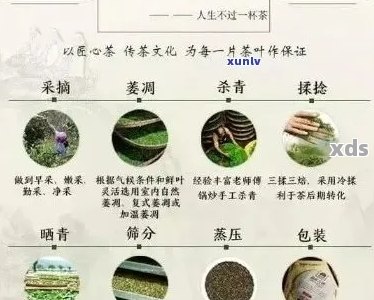 云南勐海茶厂出品的普洱茶：品质、产地、种类、功效及冲泡方法全面解析