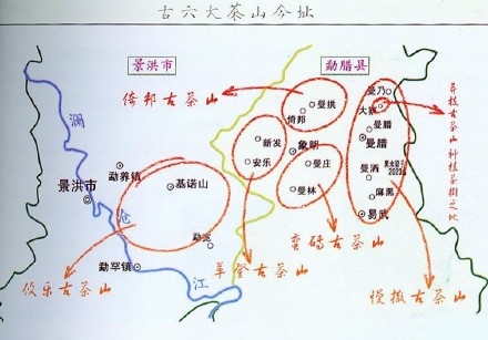 全面了解江城普洱茶的特点：品种、制作工艺、口感、功效与品鉴方法