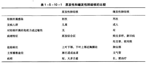 硬玉与软玉：硬度对比与选择指南