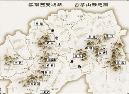 全面解析：普洱茶市场口碑的十大，从产地、工艺到口感全方位评价