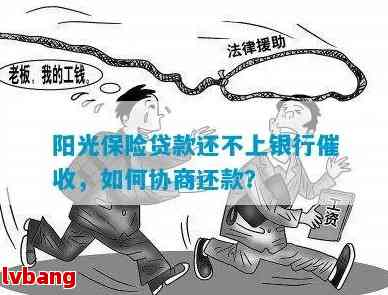 如何应对无法还清阳光信贷的情况：谈判策略与解决方案全解析