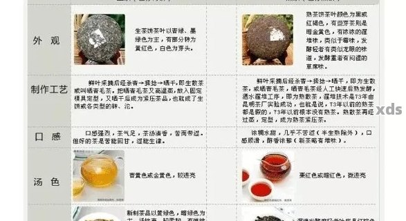 从选购到品鉴：京东上全面指南教你如何挑选和品尝普洱茶