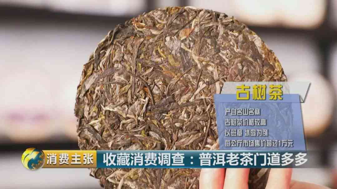 云茶科技普洱茶：台地茶与古树茶的鉴别与比较，哪种更适合您？