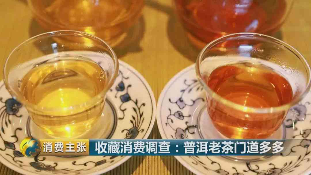 云茶科技普洱茶：台地茶与古树茶的鉴别与比较，哪种更适合您？