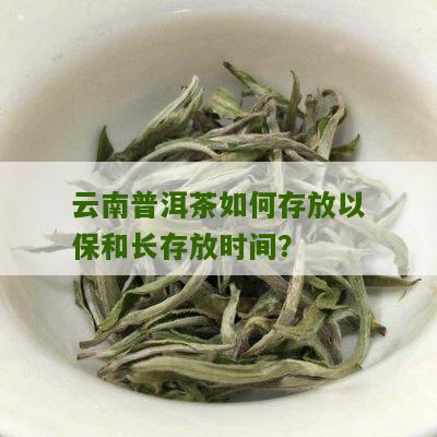 云南普洱茶生茶的保存期限及如何长保质期