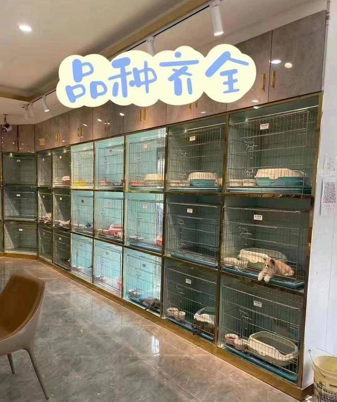 '赣州哪里有卖玉石的实体店'