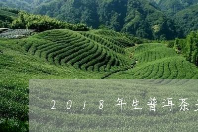 普洱茶生茶2018价格