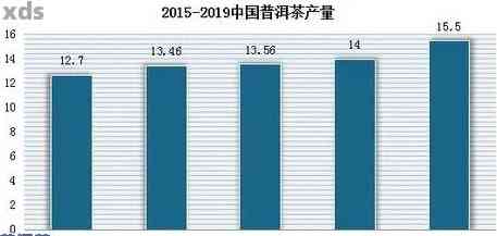 广州芳村普洱茶市场行情分析：每日价格动态与投资建议