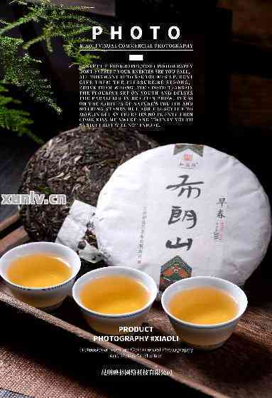 '布朗木普洱茶价格：布朗山木熟茶特点与生态饼茶2005分析'