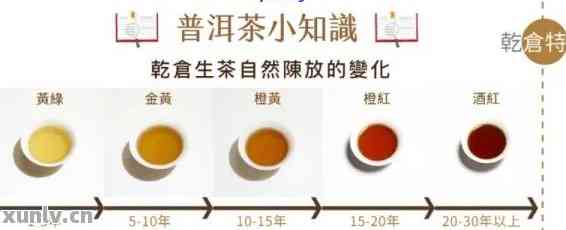 普洱茶的转化周期为几年：揭示普洱茶的转化过程与速度