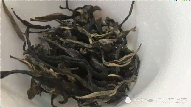 普洱茶中的翡翠树叶：探寻野生古茶的秘密与多样性