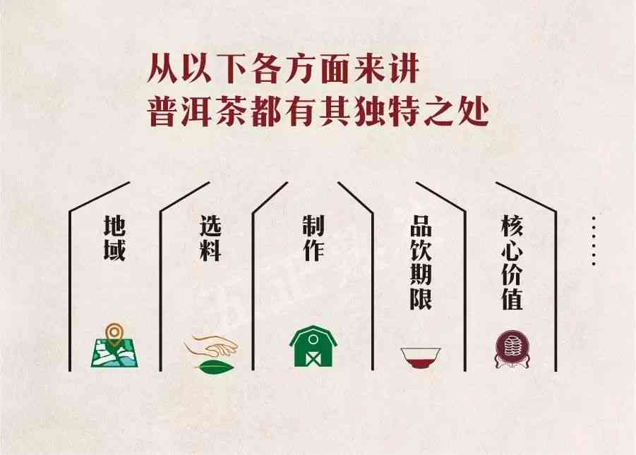 思源普洱茶生熟区别：探究二者独特之处