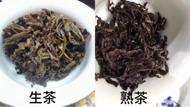 思源普洱茶生茶和熟茶的区别解析：从原料、发酵程度到口感与功效的全面对比