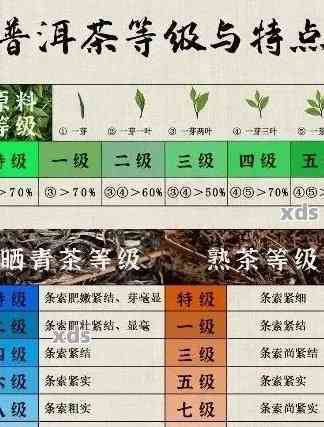 普洱茶的全貌：种类、品质、冲泡方法等一应俱全的茶知识解答