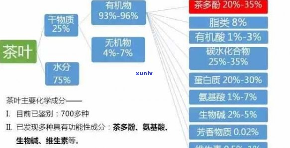 普洱茶与红茶中茶黄素含量更高的比较研究及其对人体健的益处