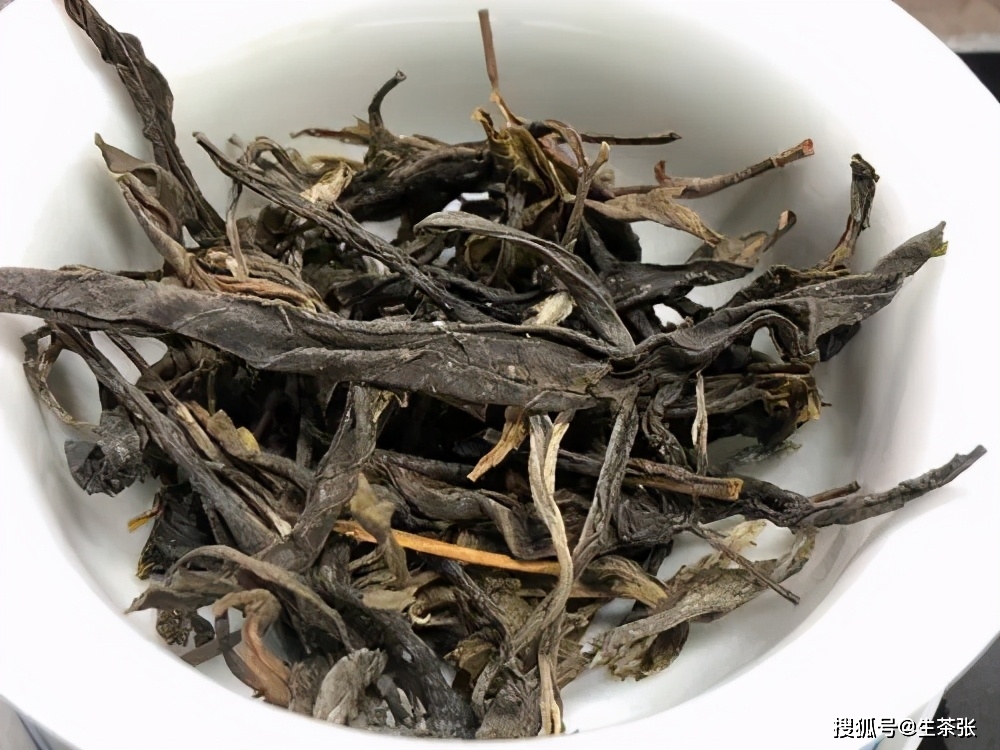 普洱茶单株：古树之韵，茶香浓，品鉴独特风味，收藏投资良选