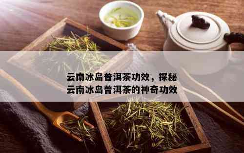 云南冰岛普洱茶的神奇功效与健益处