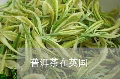 英格兰的普洱茶是什么茶