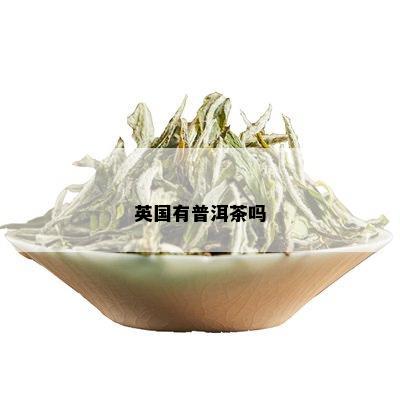 英格兰的普洱茶是什么茶