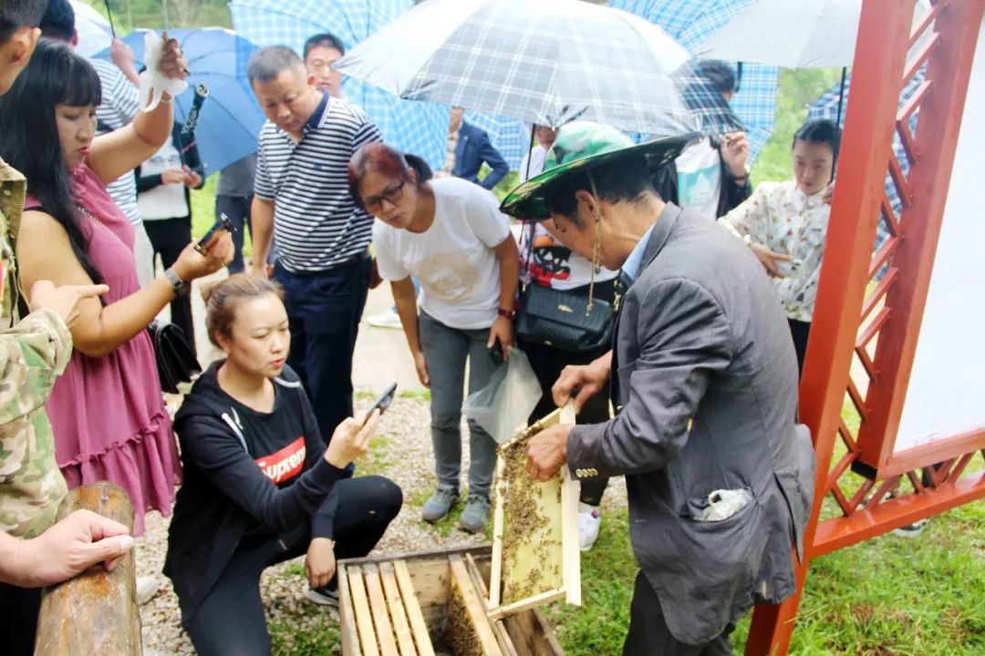 氏普洱茶官网价格1000克： 最新价格与详细列表