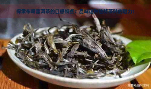 布朗普洱茶：醇厚口感的深度解析与品鉴技巧