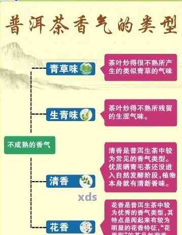 全面解析：各茶区普洱茶的香型特征与区别