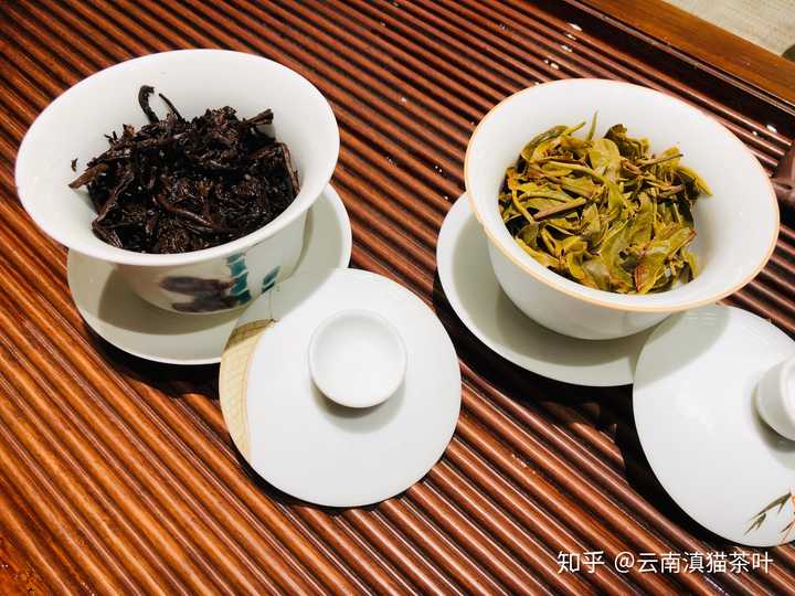 云南印象普洱茶：了解熟茶与生茶的区别，探索普洱茶的魅力与品鉴方法