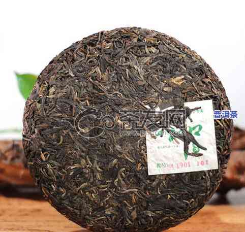 2006年博友普洱茶多少钱-博友普洱茶2006年生茶价格