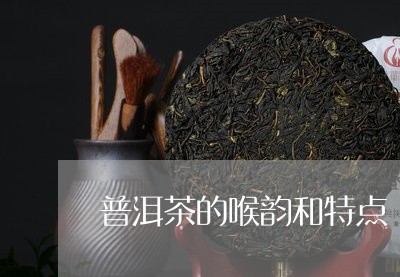 普洱茶细声细语是什么茶