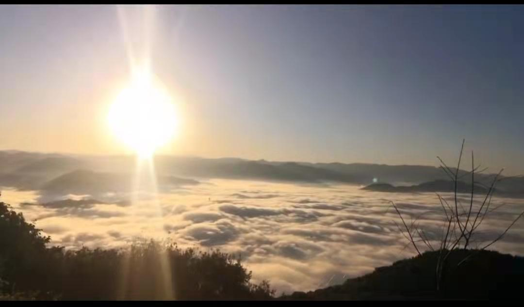 普洱茶岁月幽香是什么茶