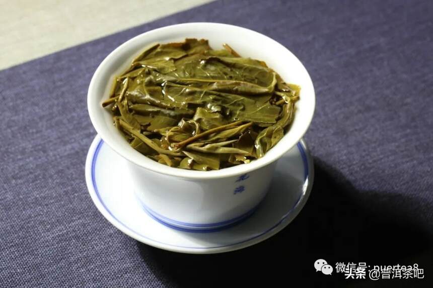 优质普洱茶生茶的挑选与品鉴：一款不可错过的茶叶体验