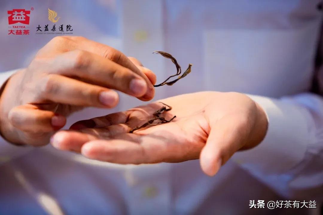 熟普洱茶调理脾胃的功效：促进消化、降低胆固醇、抗氧化等作用。