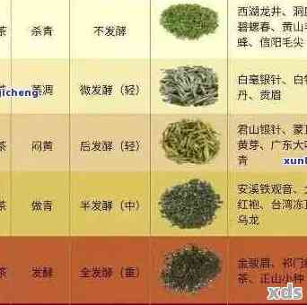 全面了解茶香型普洱茶品种：名称、特点与口感对比分析