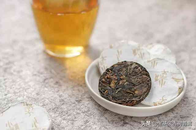 普洱茶、大象茶和乌龙茶：哪种茶叶更适合品味？