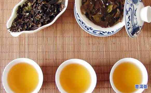 普洱茶、大象茶和乌龙茶：哪种茶叶更适合品味？