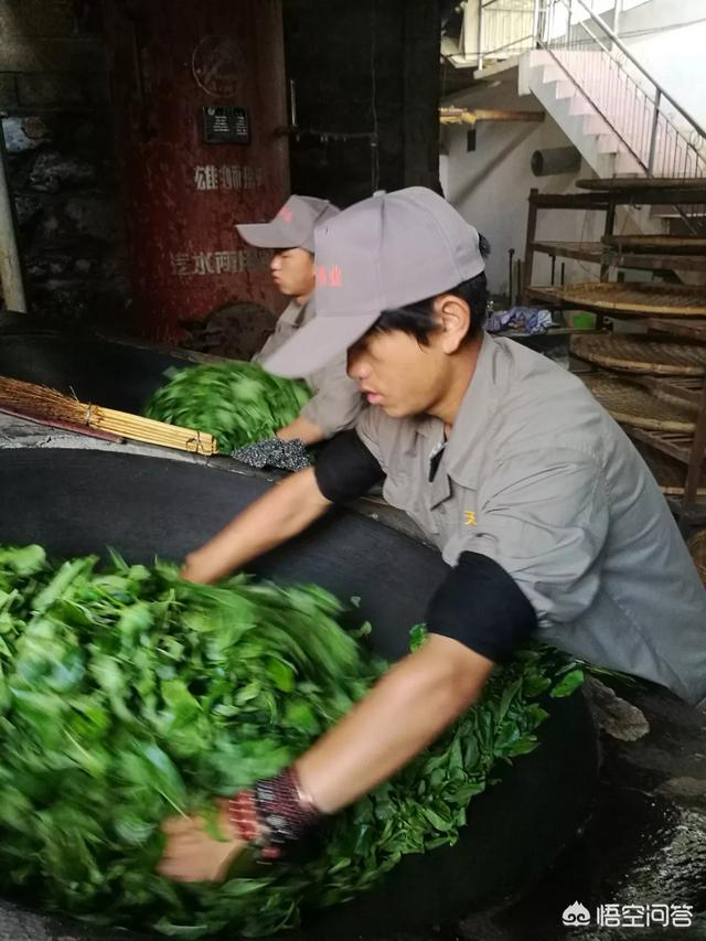 普洱茶炒青方式的特点与功效：探究其独特制茶工艺及其对健的影响。