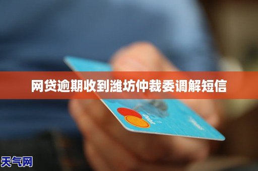 网贷逾期后收到诉前调解短信：如何应对、有何影响及解决方法全解析