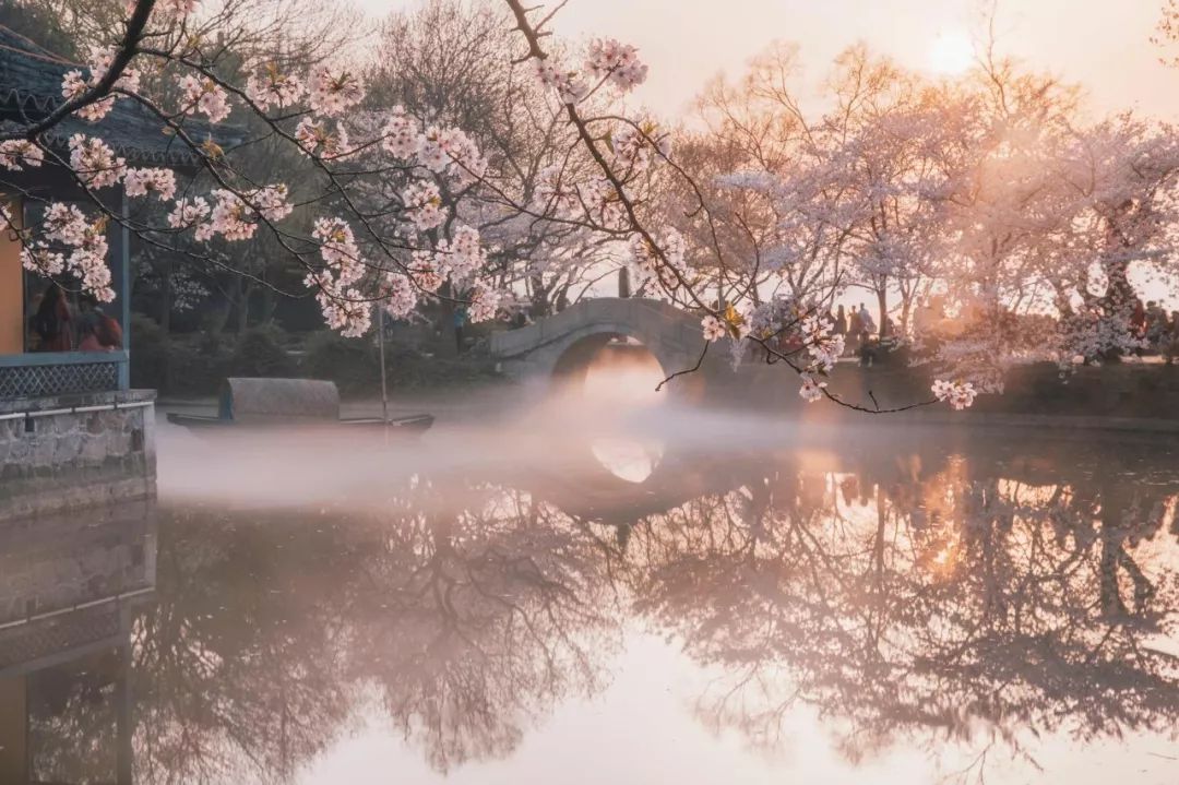 芙蓉浓晴底：春日游园、花香四溢、阳光明媚