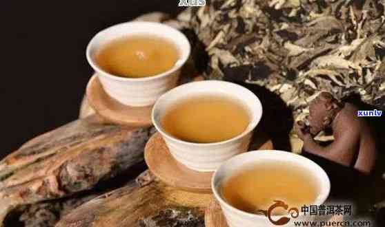 新道家古方普洱茶的详细介绍、功效与冲泡方法，让你全面了解这种茶的魅力