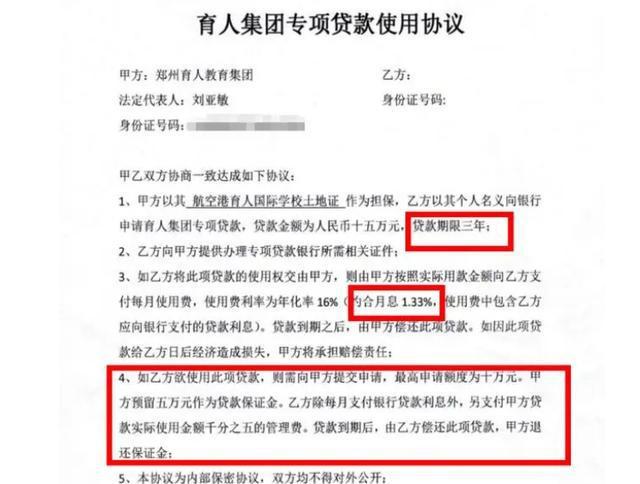 公司贷款逾期导致法人变更：应对策略与影响分析