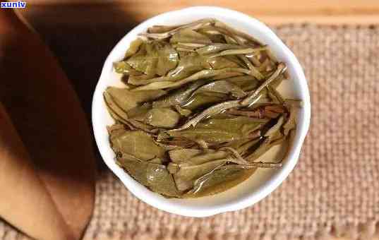 冰岛普洱茶生茶新茶颜色，生熟选择与特点