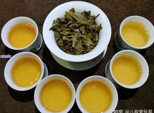 冰岛普洱茶生茶新茶颜色，生熟选择与特点